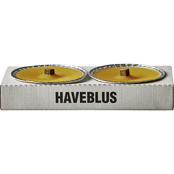 Haveblus gul