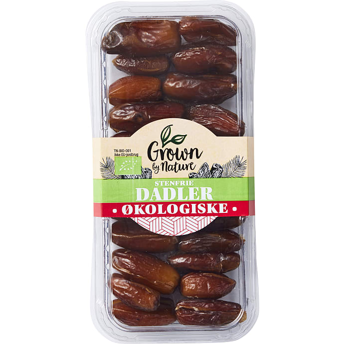 Øko Dadler Deglet Nour