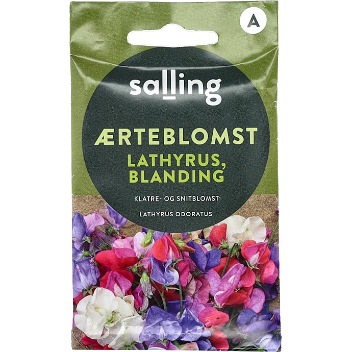 Salling ærteblomst Lathyrus mix