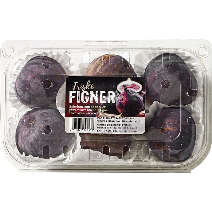 Figner