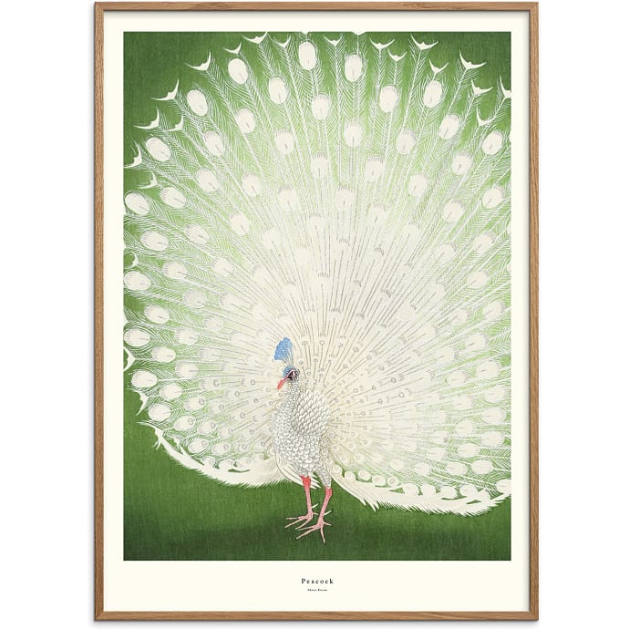 Citatplakat Peacock 30x40 cm
