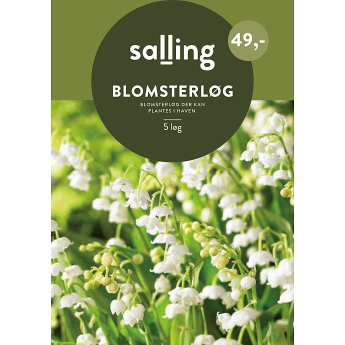 Salling Blomsterløg Liljekonval