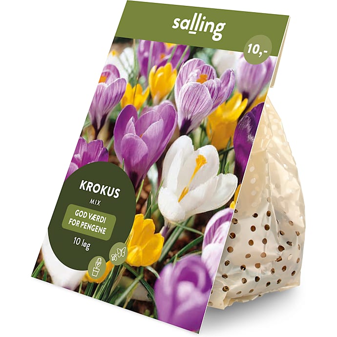 Salling blomsterløg Krokus mix 10 løg