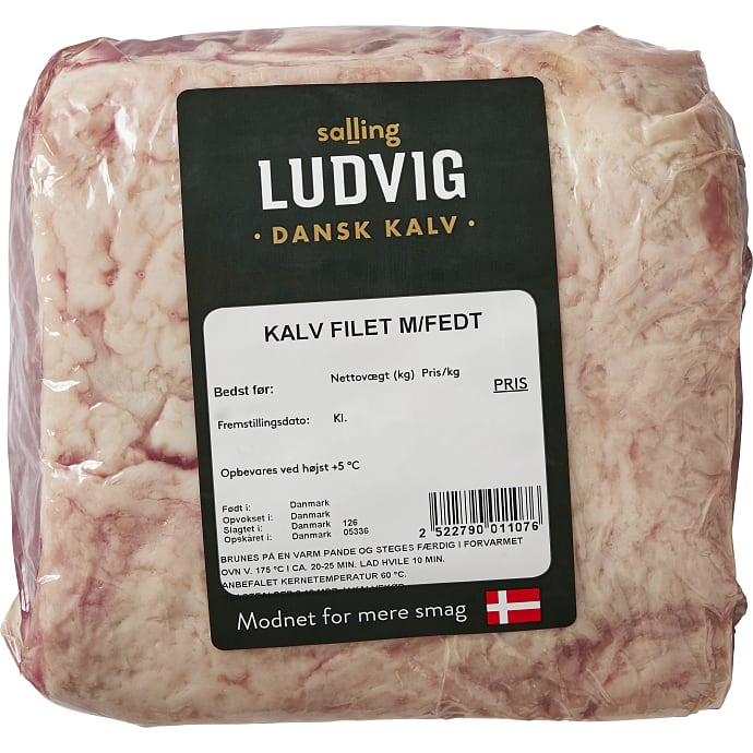 Ludvig Kalvetyndsteg