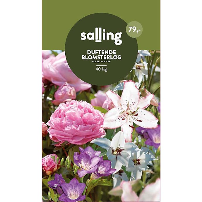 Salling Duftende Blomsterløg