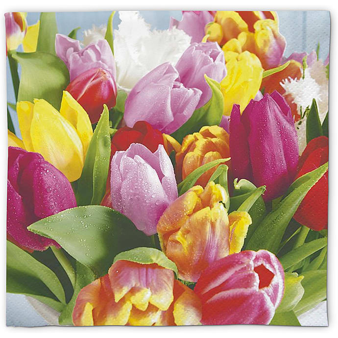 Mønstrede servietter 33x33 cm 20-pak