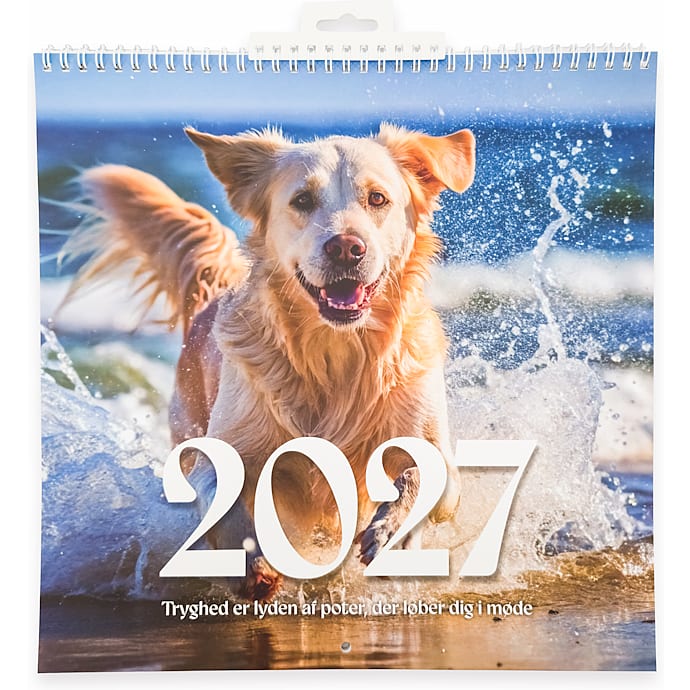 Kalender 2026 - Hunde