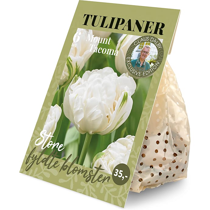 Claus Dalby Tulipaner Mount Tacoma 6 løg
