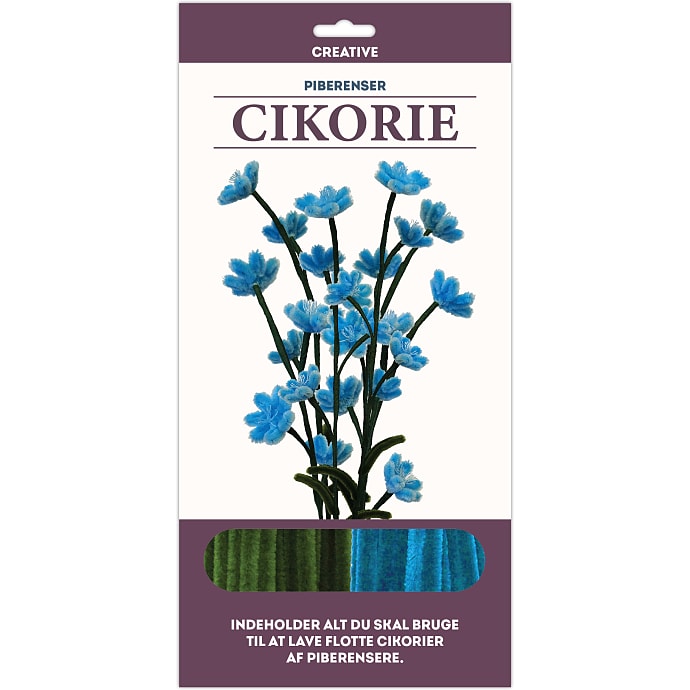 1conzept piberenserblomst - cikorie