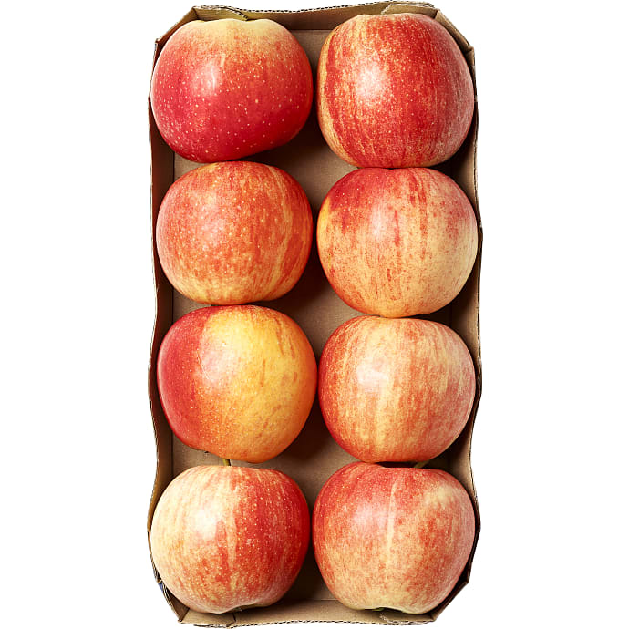 Æbler i Bakke 8 stk