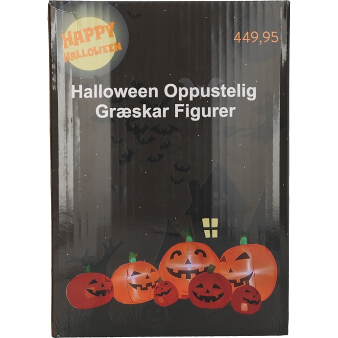 Halloween opustelige græskar - orange