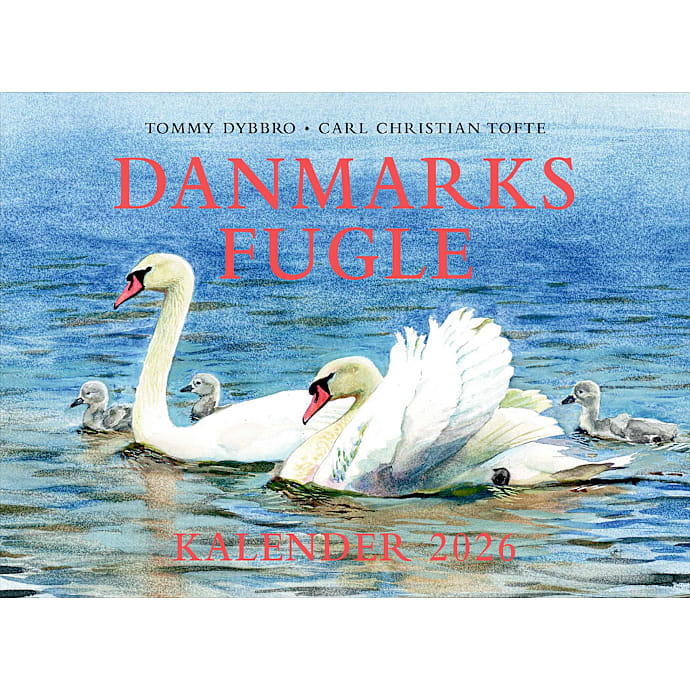Politikens Forlag Danmarks fugle kalender 2026