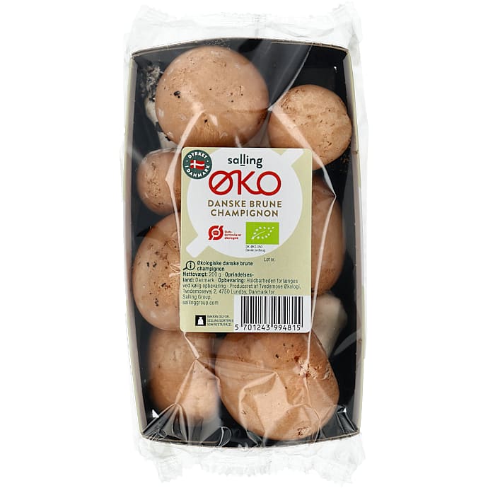 Brune champignon øko