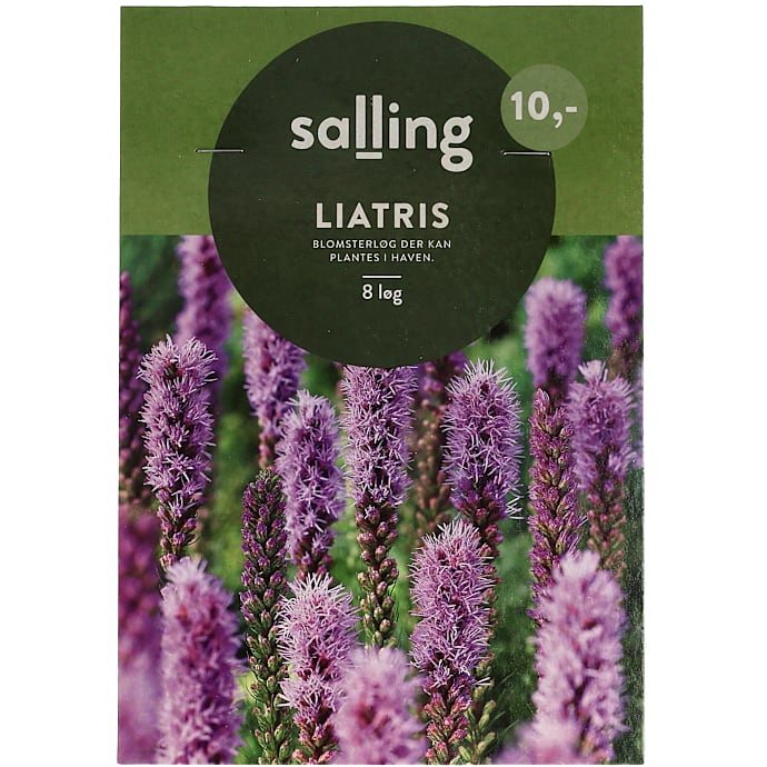 Salling Blomsterløg Liatris