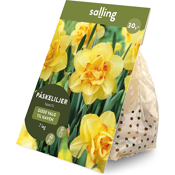 Salling blomsterløg Påskeliljer, Tahiti 7 løg