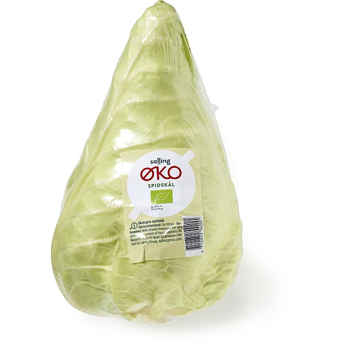 Spidskål øko