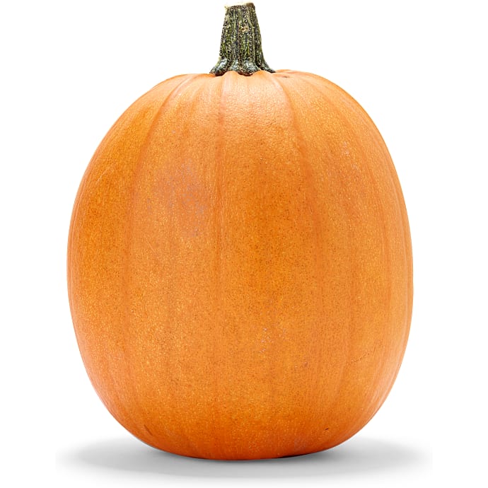 Halloweengræskar 1-3 kg