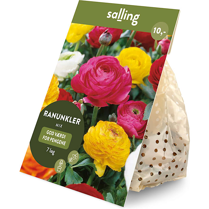 Salling blomsterløg Ranunkler mix 7 løg