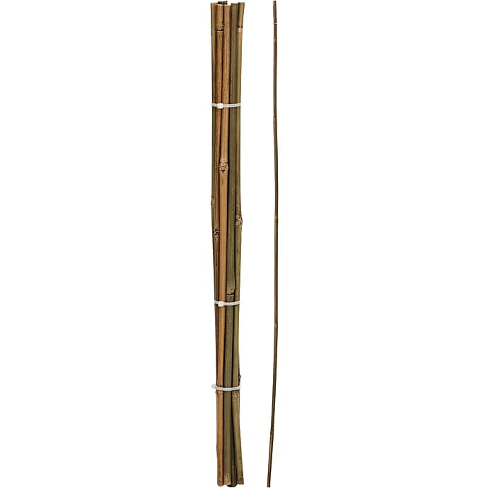 Blomsterpinde bambus 60 cm