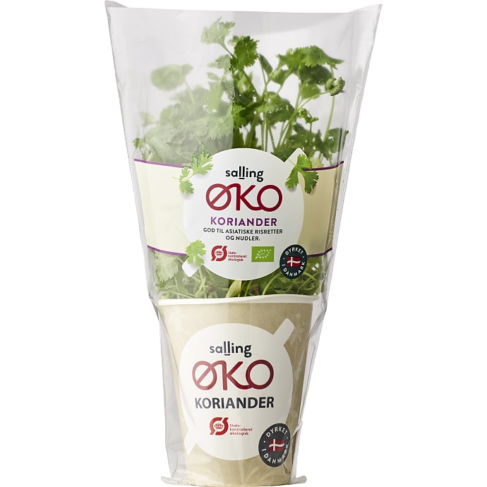 Salling ØKO Koriander Økologisk