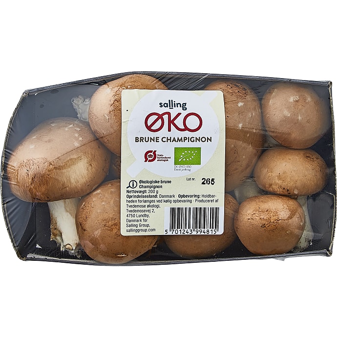 Brune champignon øko