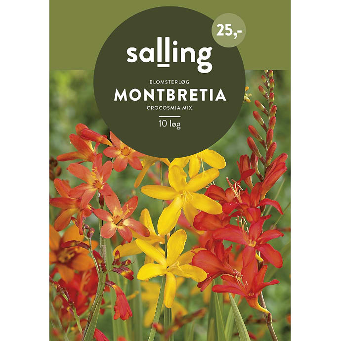 Salling Blomsterløg Montbretia Crocosmia Mix