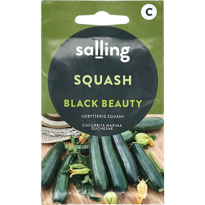 Salling Squash Black Beauty