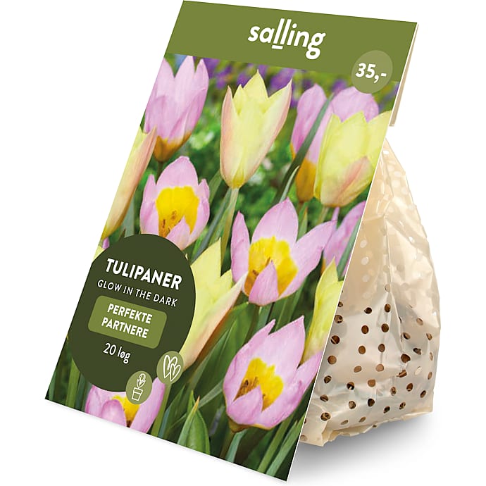 Salling blomsterløg Tulipaner Glow in the dark 20 løg