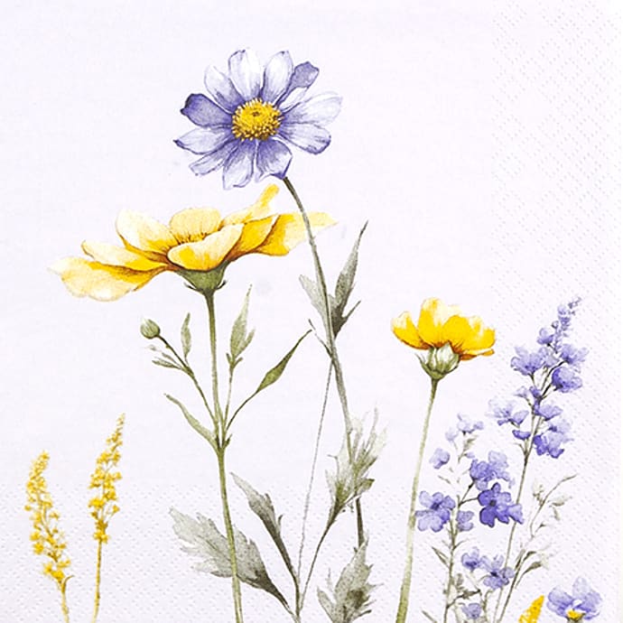 Windsor Mønstrede Servietter 33x33 cm