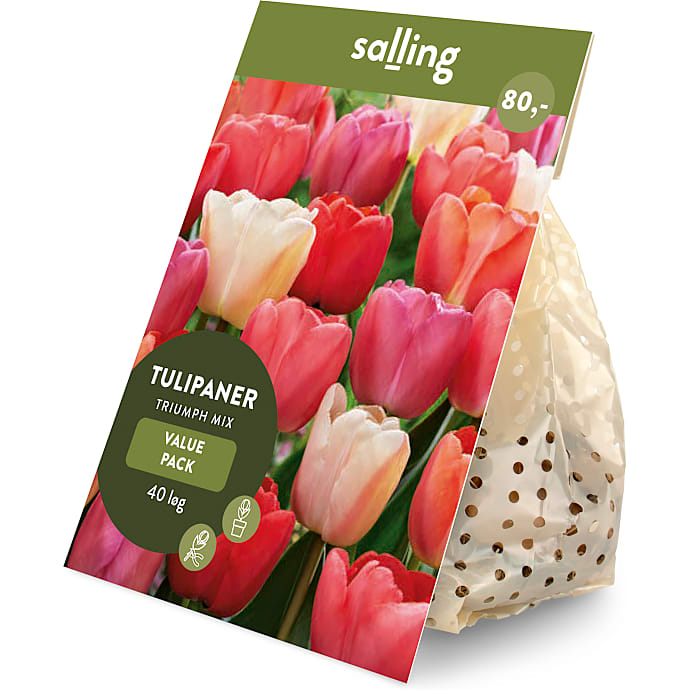 Salling blomsterløg Tulipaner Triumph mix 40 løg