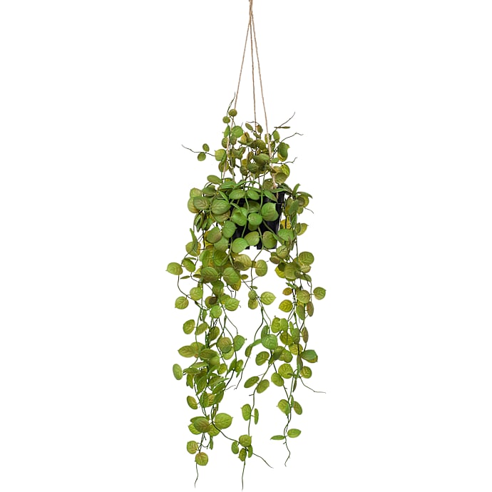 Kunstig hængeplante - Ceropegia