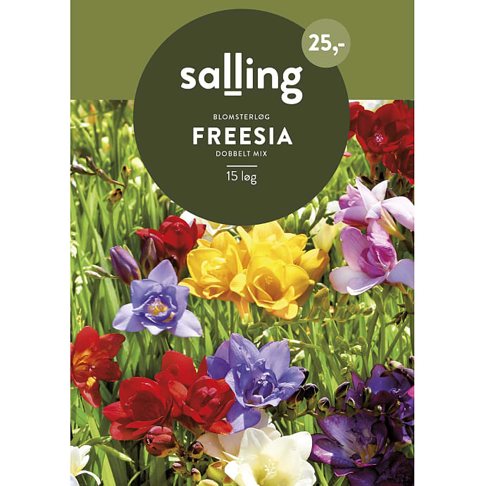 Salling Blomsterløg Freesia Dobbelt Mix