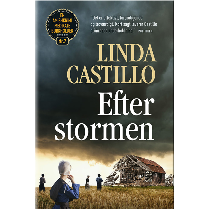 Hr. Ferdinand Efter stormen - Linda Castillo