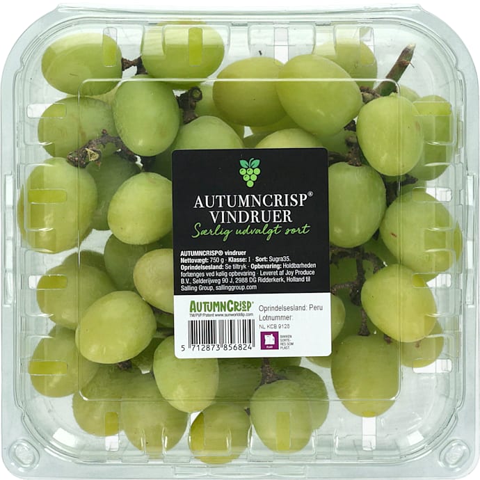 Grønne druer stenfri