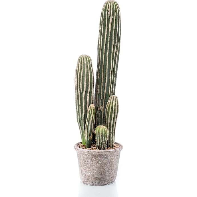 Kunstig blomst San Pedro-kaktus