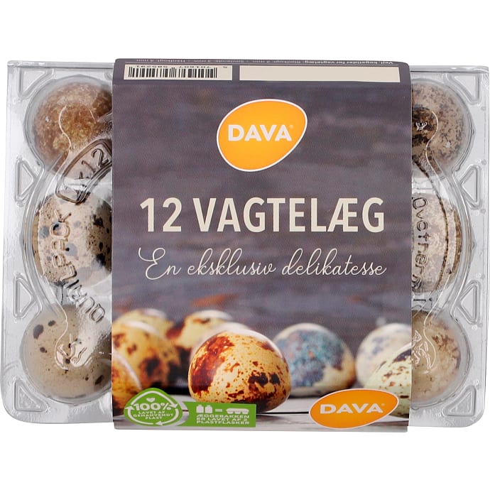 Dava Vagtelæg