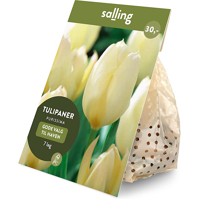 Salling blomsterløg Tulipaner Purissima 7 løg