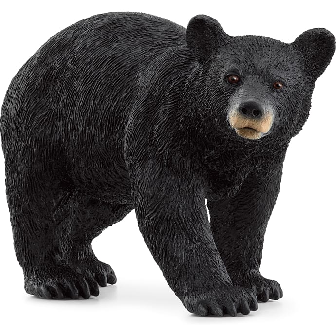 Schleich amerikansk sortbjørn 14869