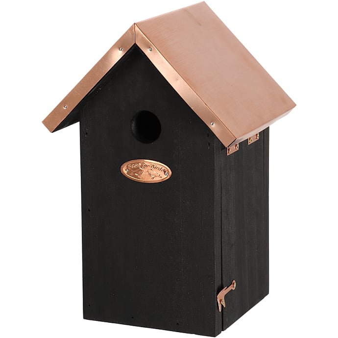 Fuglehus til Blåmejse