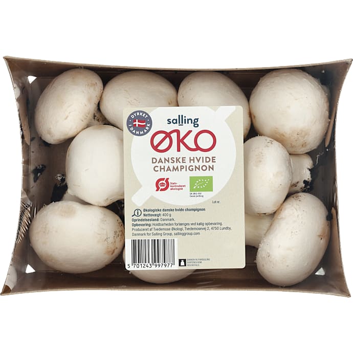 Champignon øko