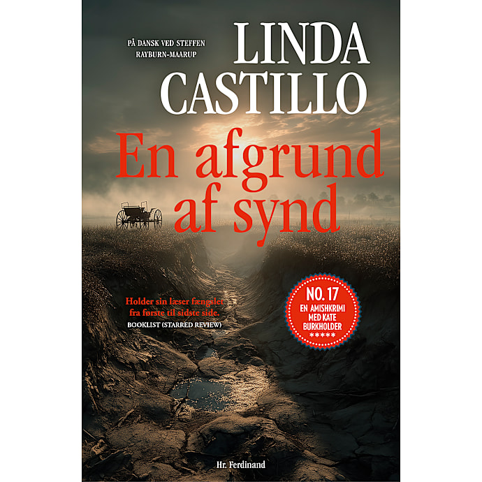 En Afgrund af Synd - Linda Castillo