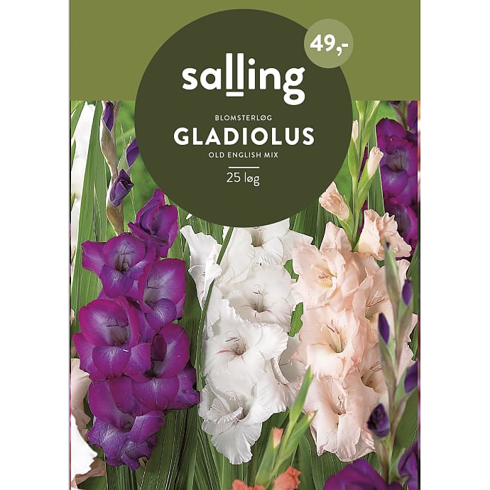 Salling Blomsterløg Gladiolus Mix