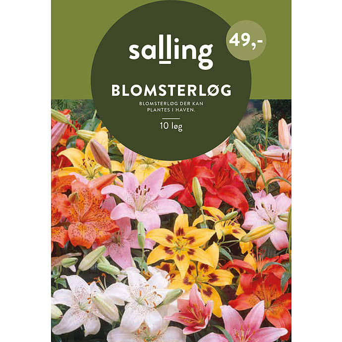 Salling Blomsterløg Liljer Asiatic Mix
