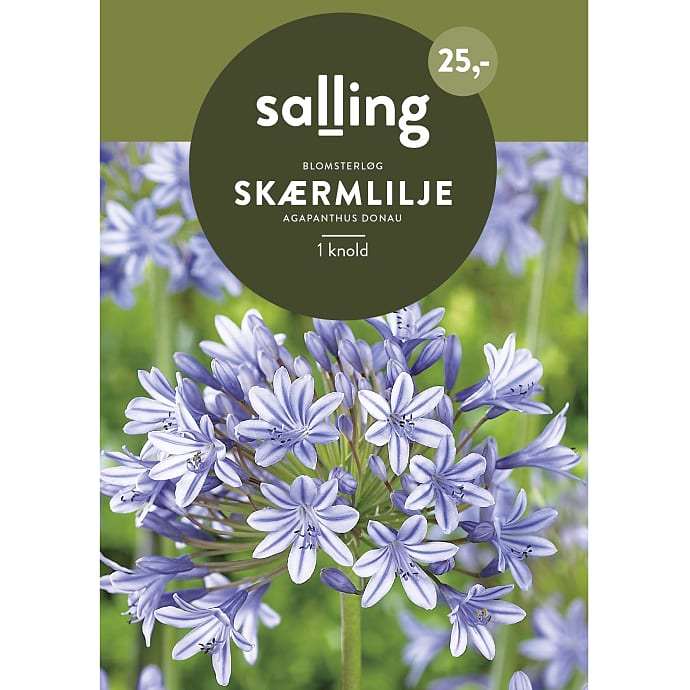 Salling Blomsterløg Agapanthus Donau