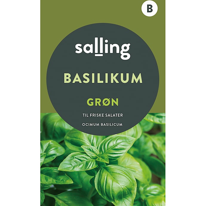 Salling Basilikum Grøn