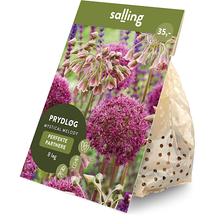 Salling blomsterløg Prydløg Mystical Melody 8 løg