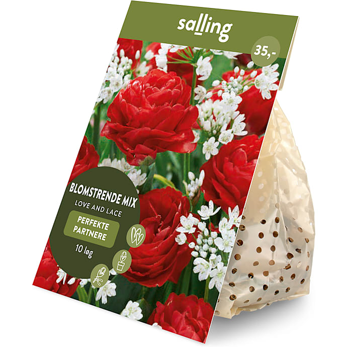 Salling blomsterløg Tulipaner/Prydløg Love and Lace 10 løg