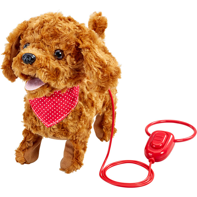 Happy Pets Walk Along Cockapoodle .