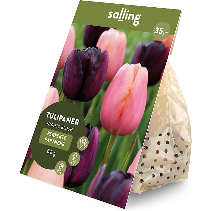 Salling blomsterløg Tulipaner Nights Blush 6 løg