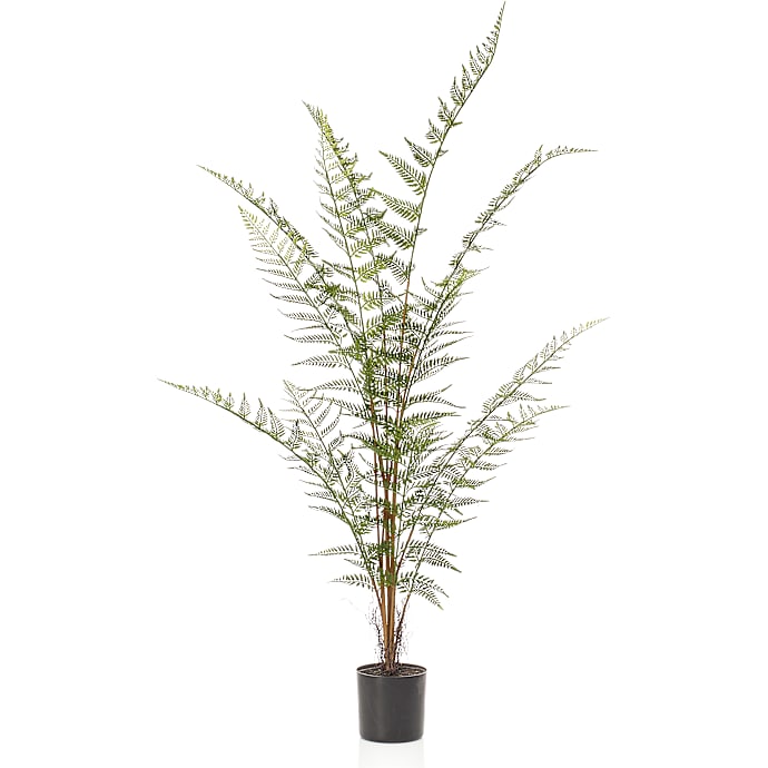 Kunstig plante - bregne